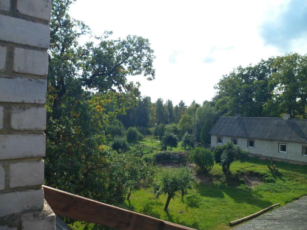 Kiraste Viruna Farm מראה חיצוני תמונה
