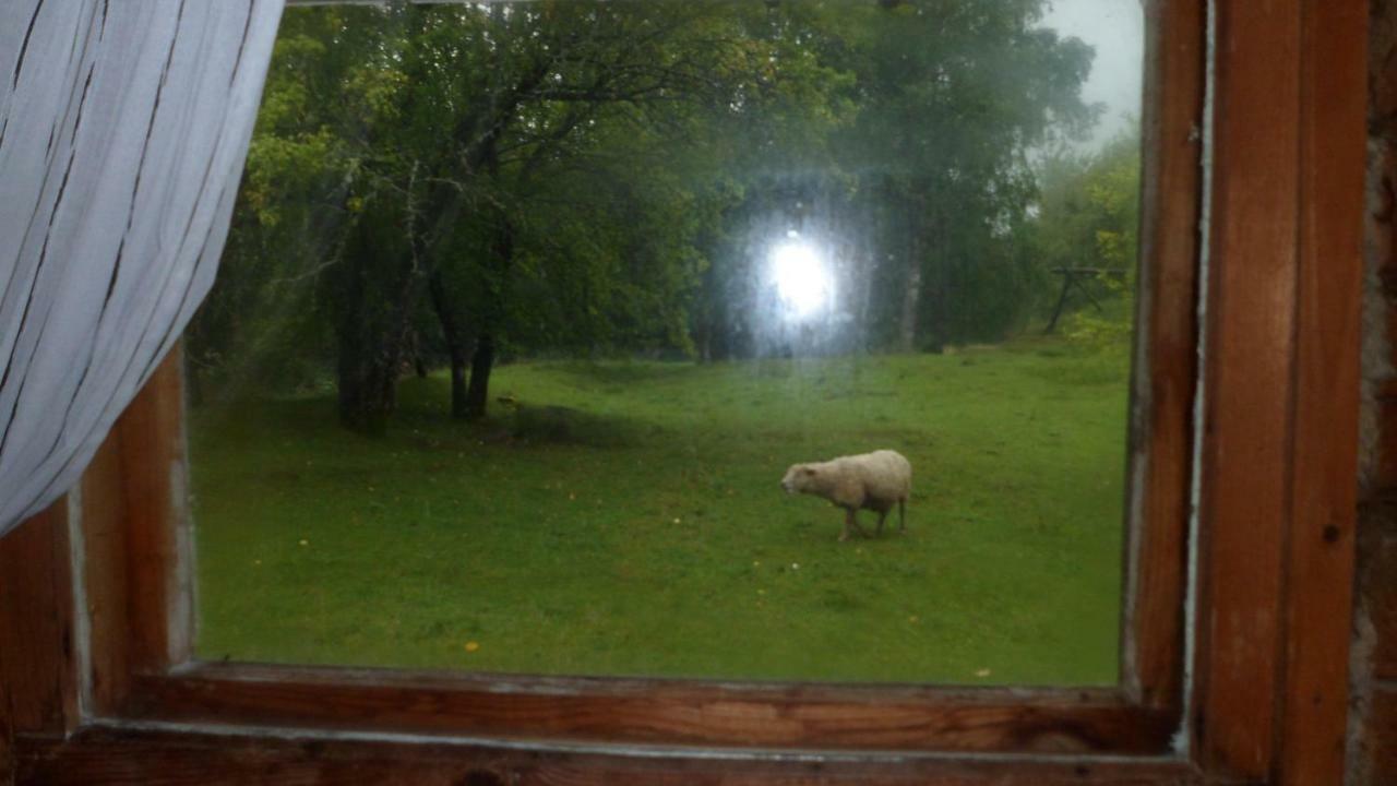 Kiraste Viruna Farm מראה חיצוני תמונה